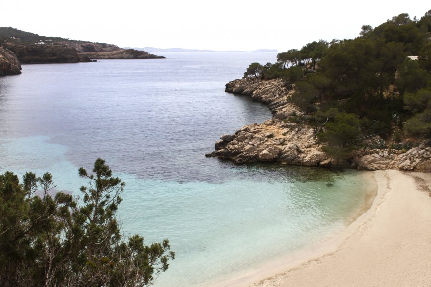 Discover Cala Saladeta beach in Ibiza