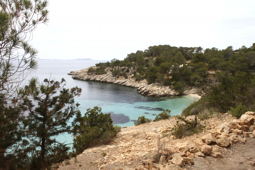 Beautiful Cala Salada. Nature Ibiza.